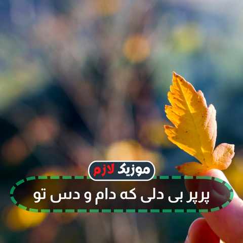 دانلود آهنگ پرپر بی دلی که دام و دس تو